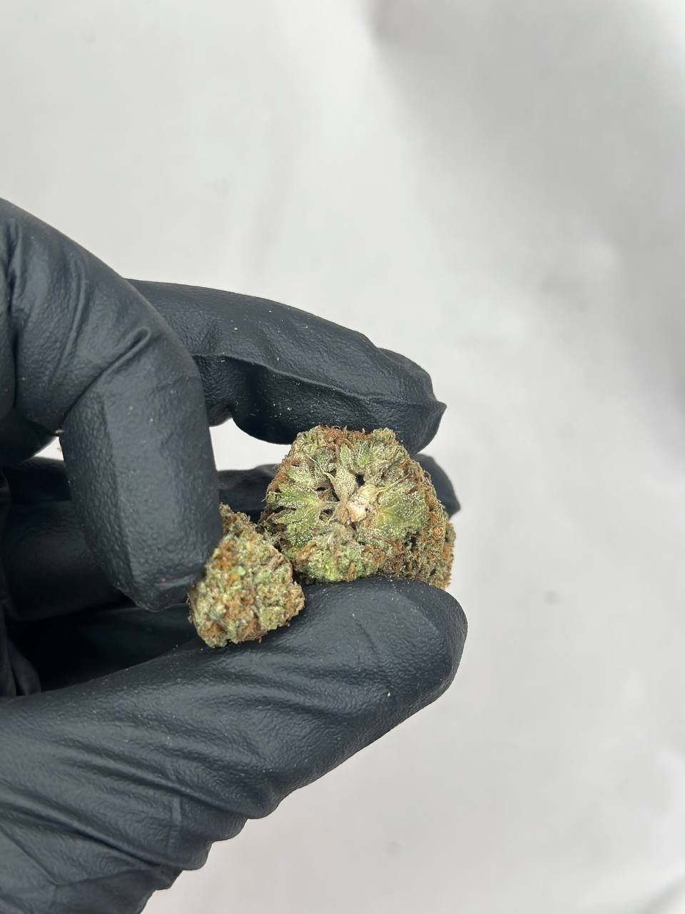 Tropicana Cookies - Main Image